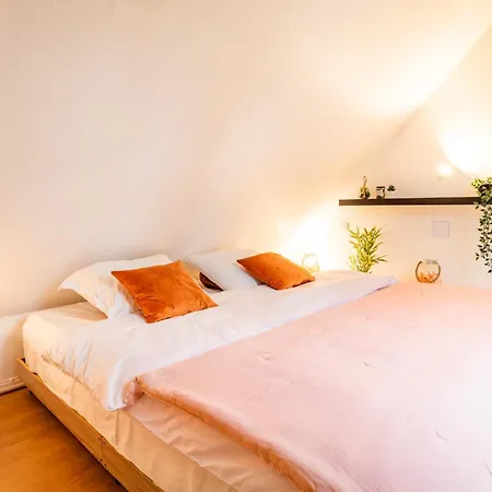 Appartamento Chez Nolina - Duplex Avec Vues Cathedrale Et Quais Strasburgo Esterno foto