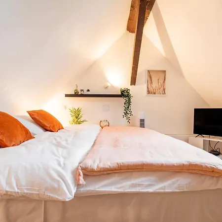 Appartamento Chez Nolina - Duplex Avec Vues Cathedrale Et Quais Strasburgo Esterno foto