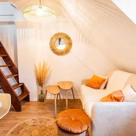 Appartamento Chez Nolina - Duplex Avec Vues Cathedrale Et Quais Strasburgo Esterno foto